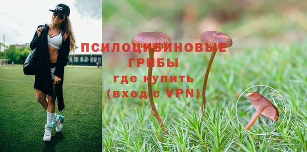 кокс Армянск