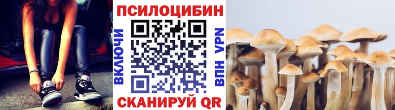 купить  сайты  Якутск  Галлюциногенные грибы прущие грибы 
